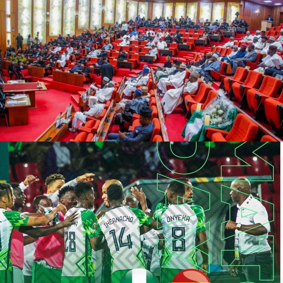 Senate To Investigate Super Eagles’ Failure To Qualify For World Cup