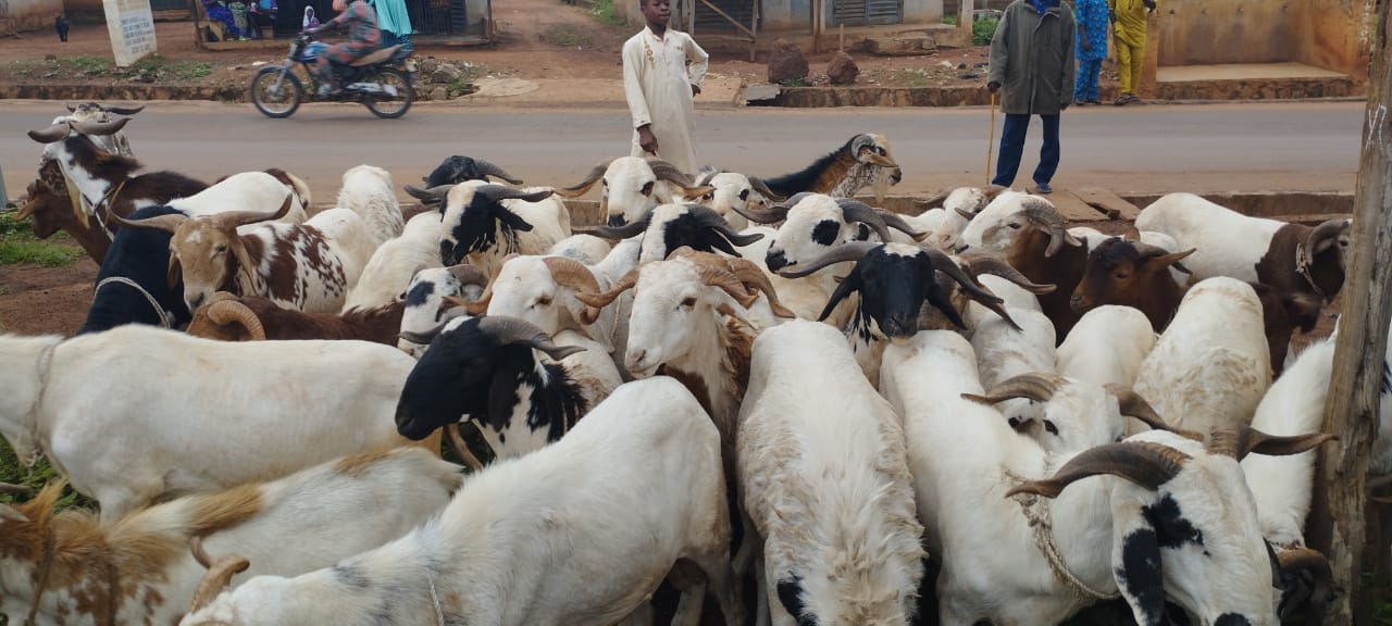 Eid el Kabir: Tegbe Cheers Muslims, Distributes Rams, Food Packs, Cash To Residents