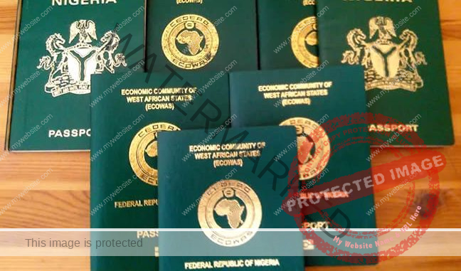 Nigerian Diasporans Can Be Admitted Home With Expired Passports – NIS