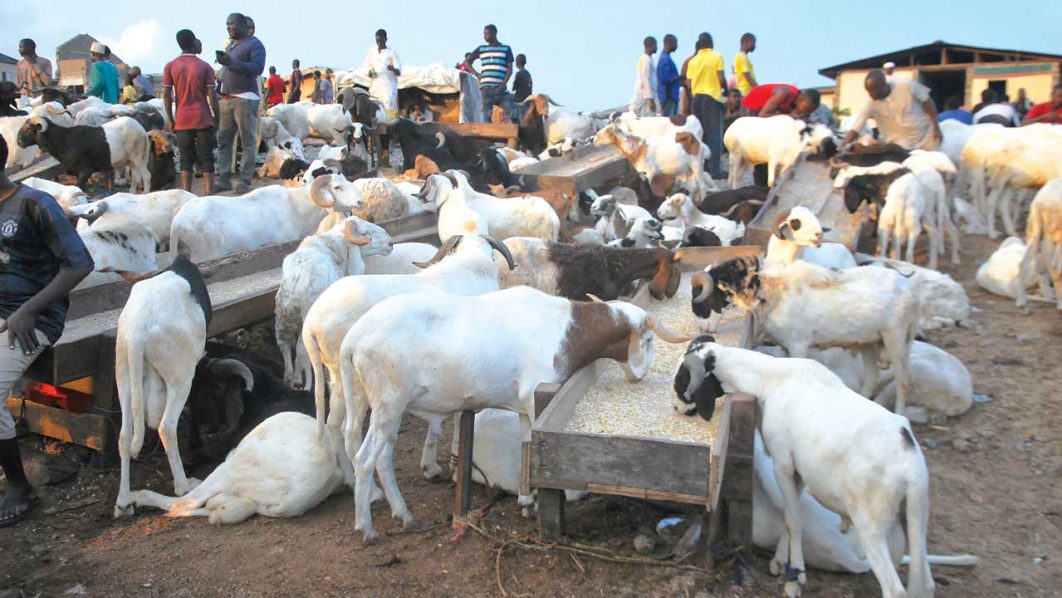 Eid-el-Kabir: Islam Forbids Hoarding Of Sallah Meat — Cleric Tells Islamic Adherents