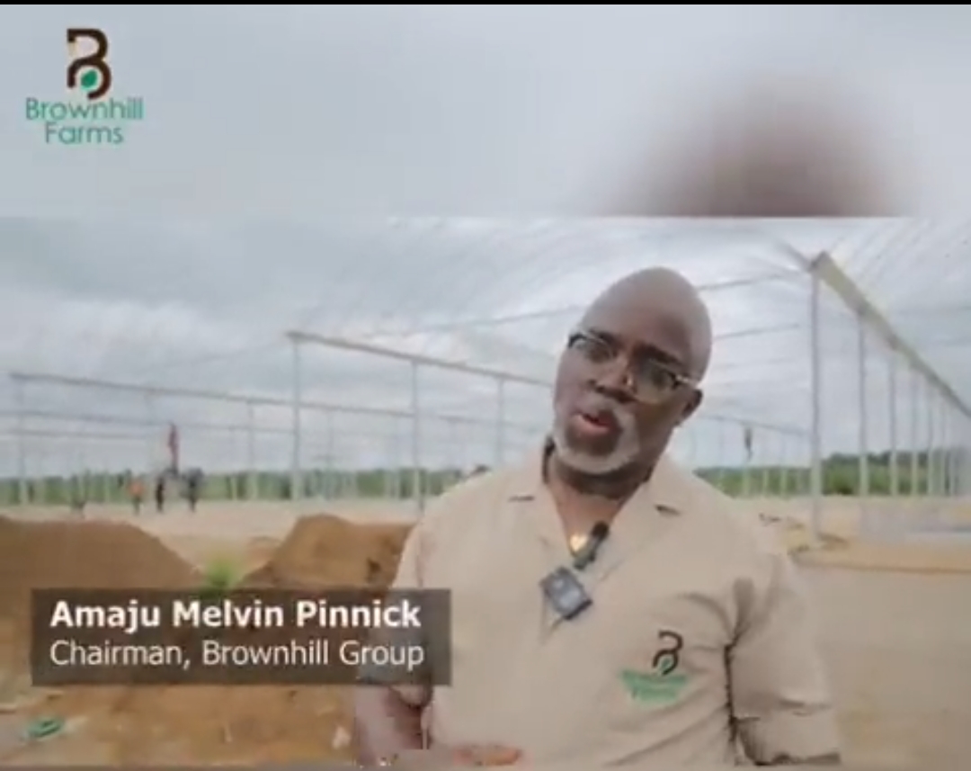 Brownhill 2800kilometers Tomato Farm Approves For Operation In Oyo State — Pinnick