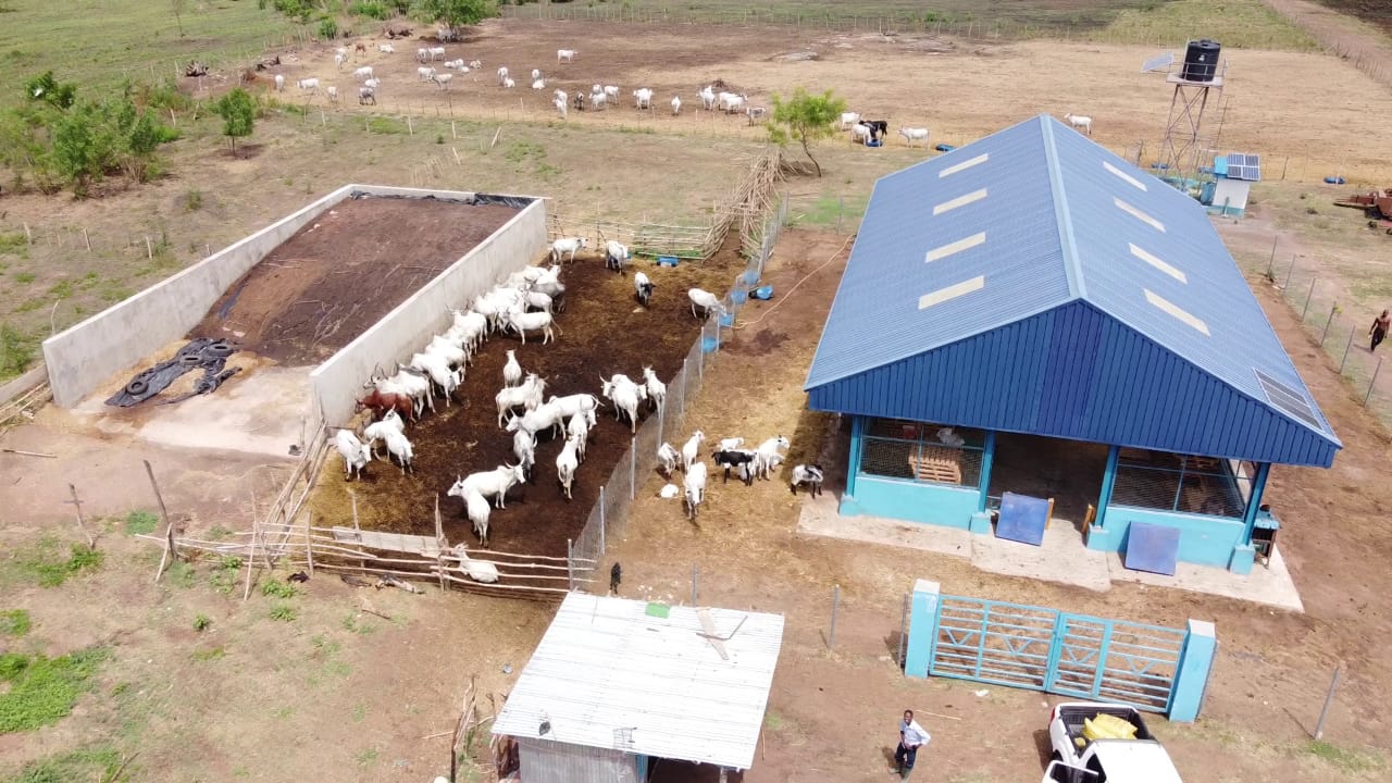 FASOLA FARM: The Rebirth Of Awolowo’s Animal Husbandry Initiatives | Daramola Fisayo