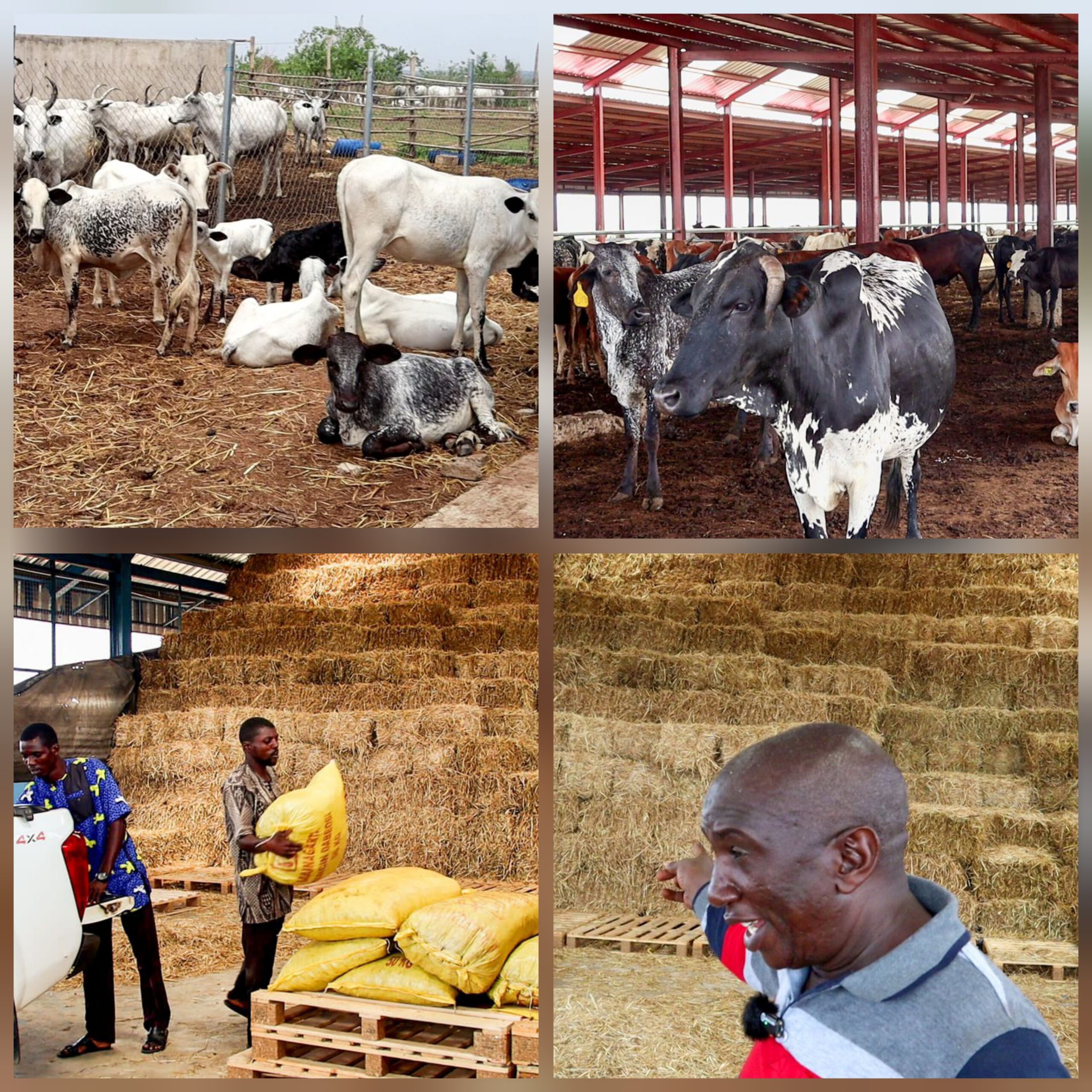 Farmer-Herder Conflict: Oyo Takes Lead In Providing The Solution | Daramola Fisayo