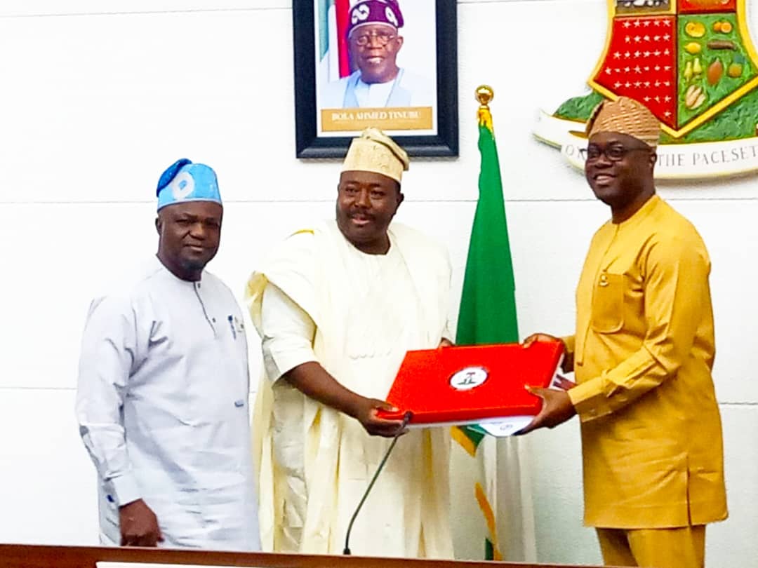 Ensure Constitution Amendment Strengthens Democracy, Unity In Nigeria — Makinde Tells NASS Joint Committee