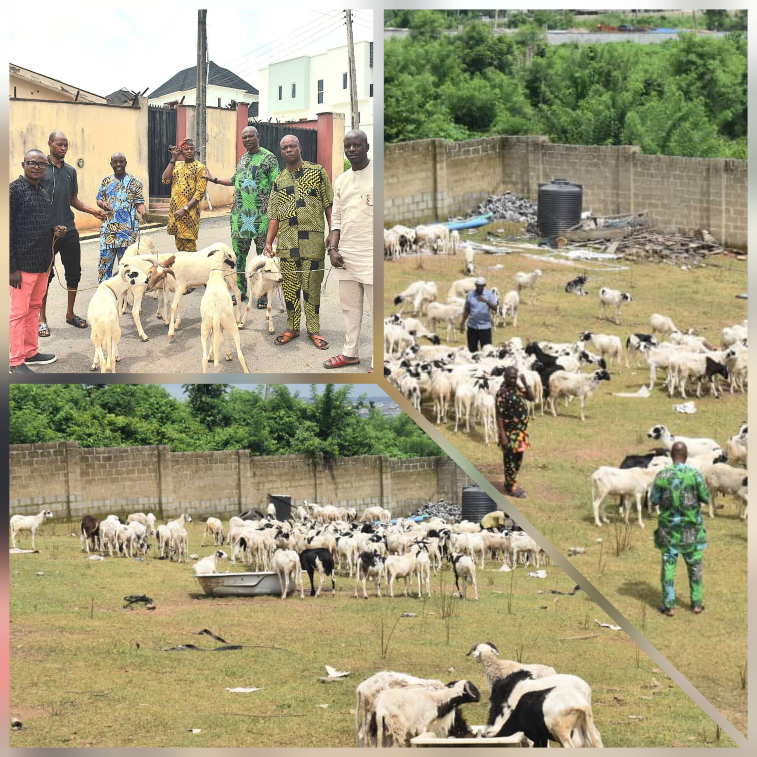 Oyo Lawmaker, Odidiomo Spreads Joy In Oyo State With Massive Sallah Distribution