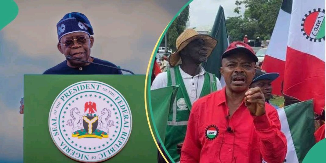 Minimum Wage: Don’t Accept Anything Less — APC Chieftain Backs NLC’s N250,000 Demand