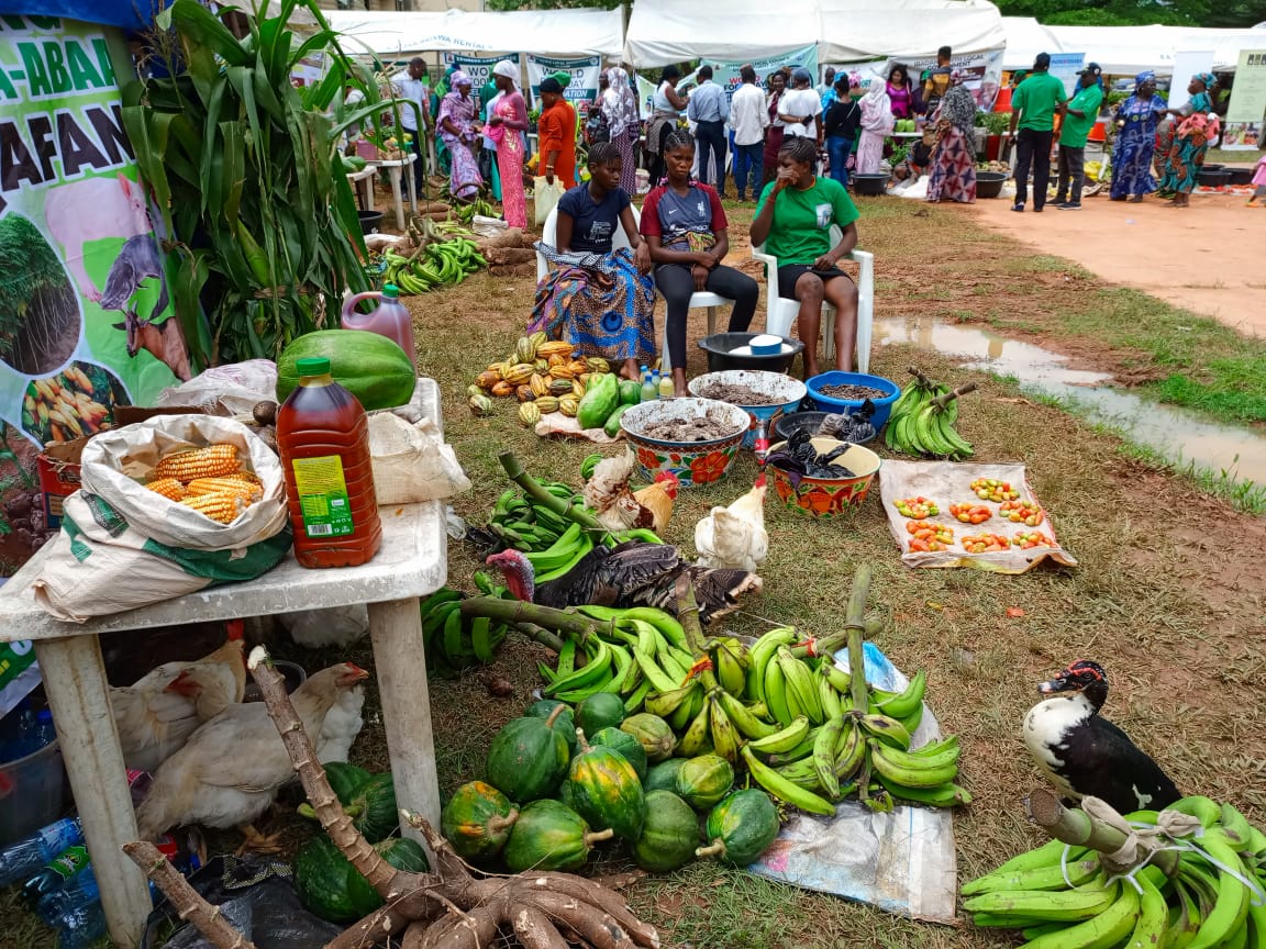World Food Day: Makinde Calls For Sustainable Agriculture And Reduced Food Waste