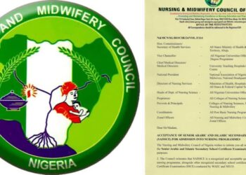 Nursing Council’s Directive On Arabic And Islamic Certificates Sparks Debate