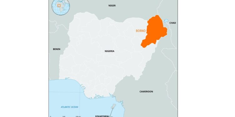 Boko Haram Resurgence: Fresh Attacks Claim Lives in Borno Community