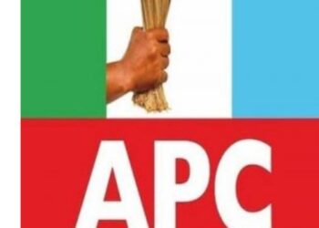 APC Leadership Under Fire Over Primary Irregularities