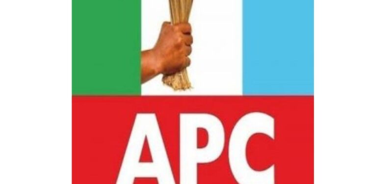 APC Leadership Under Fire Over Primary Irregularities