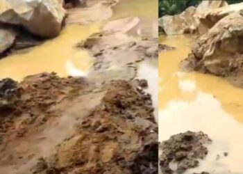 Cross-Border Trade Between Benin And Nigeria: A Delicate Balance Between Economy And Security