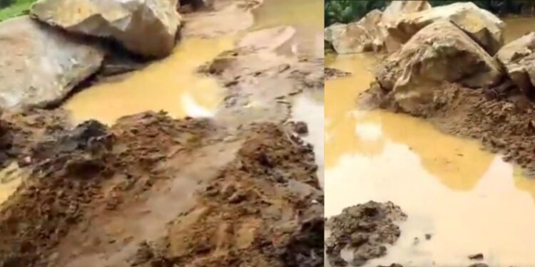 Cross-Border Trade Between Benin And Nigeria: A Delicate Balance Between Economy And Security