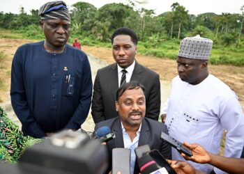 Chinese Investors To Partner With Oyo State For Agric Development