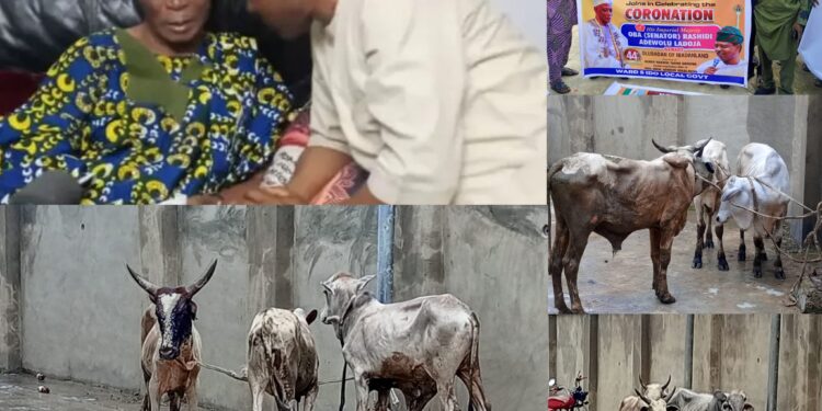 OLUBADAN: Rep’ Member, Oseni’s Uncommon Gesture Turns Coronation Into A Grassroots Festival