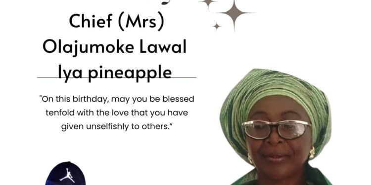 Egbeda LG Boss, Sikiru Sanda Commends Iya Pineapple’s Humanitarian Service To Egbeda Community