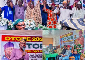 Egbeda/Ona-Ara 2027: Makinde Directed Ona-Ara To Step Down For Egbeda In 2023 Election — Egbeda PDP Leaders Confirm OTOPE’s Candidature