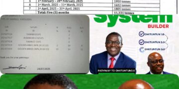 ‘Data, Science, Logic’ Prevailed: Makinde’s Aide, Dr. Debo Akande, Explains Shift From Botswana Maize To Cassava Revolution