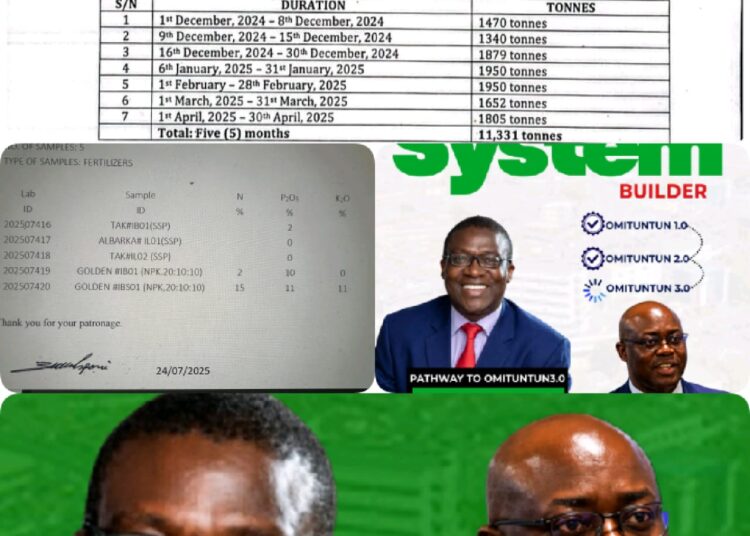 ‘Data, Science, Logic’ Prevailed: Makinde’s Aide, Dr. Debo Akande, Explains Shift From Botswana Maize To Cassava Revolution
