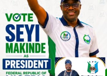 2027 Election: Alliance With Gov. Makinde—The Surest Path To Electoral Triumph — Reps Candidate, OTOPE