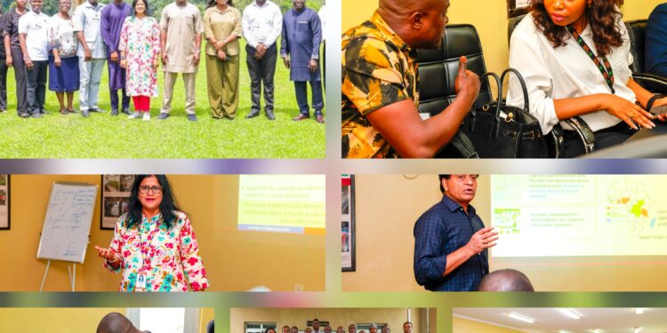 Oyo Govt Targets 1 Million New Cocoa Trees In Bold PPP Drive To Restore State’s Glory, Boost Agribusiness, Youth Employment