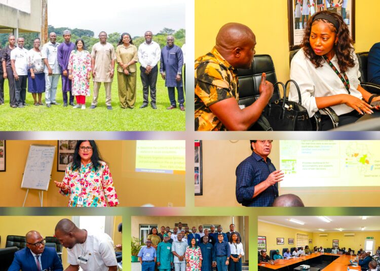 Oyo Govt Targets 1 Million New Cocoa Trees In Bold PPP Drive To Restore State’s Glory, Boost Agribusiness, Youth Employment