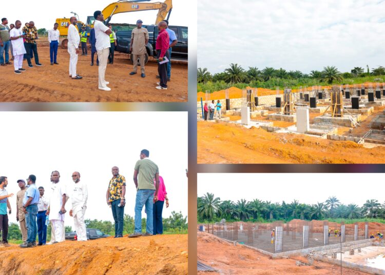 Ijaiye SAPZ Takes Shape As Debo Akande Leads Investors On Inspection, Showcases Makinde’s Commitment To Agribusiness Revolution