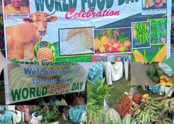World Food Day: Egbeda LG Chairman, Sanda Sikiru Call For Investment In Agricultural Innovation, Declares “Food Security Is National Security, No Food, No Nation