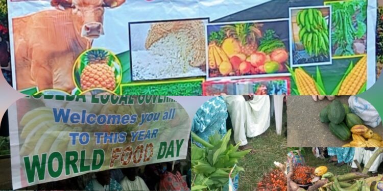 World Food Day: Egbeda LG Chairman, Sanda Sikiru Call For Investment In Agricultural Innovation, Declares “Food Security Is National Security, No Food, No Nation